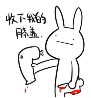 收下我的膝盖.png