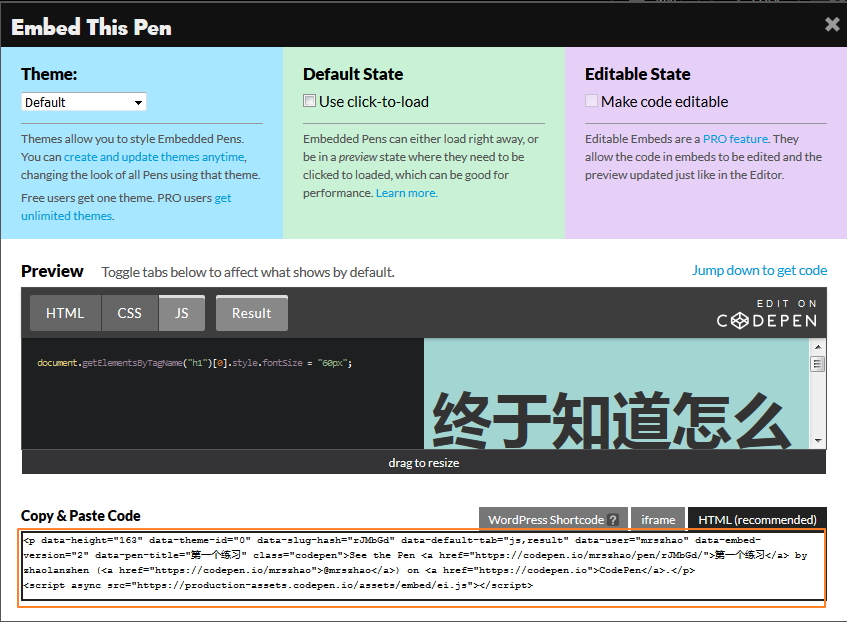 codepen上面的代码引用到自己的网站上.jpg